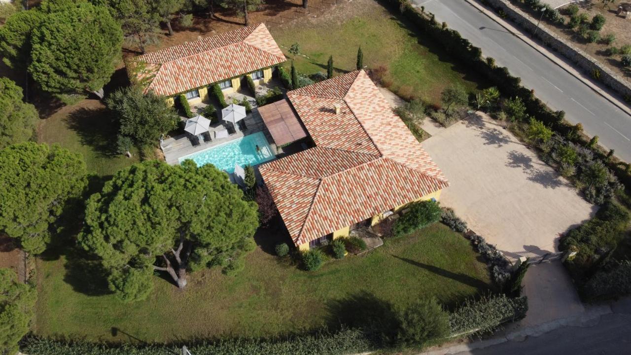 Villa Alivu Di Calvi Calvi  Zewnętrze zdjęcie